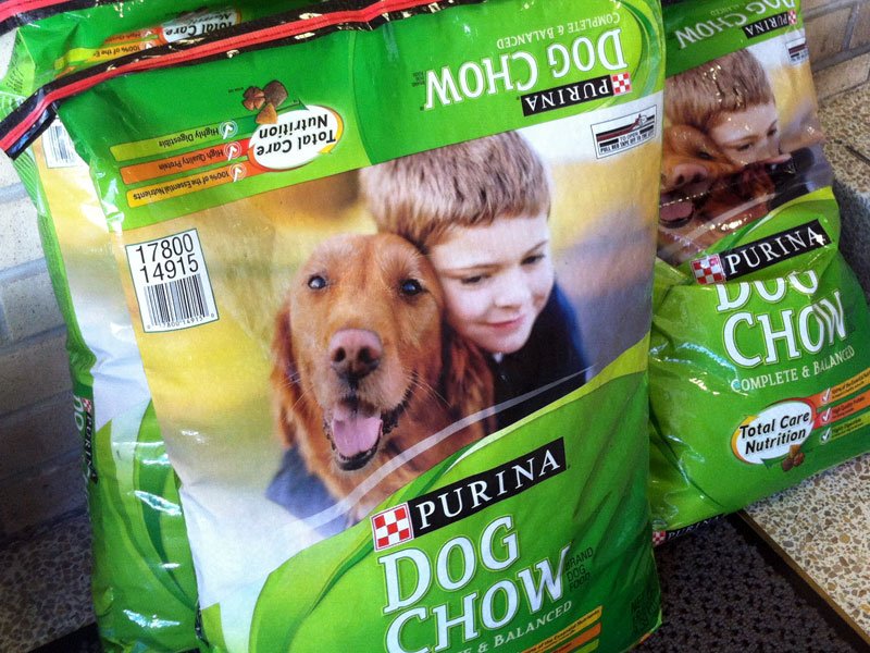 sioux falls humane society dogs sioux falls area humane society faces food shortage sioux falls humane society dogs sioux falls area humane society faces food shortage